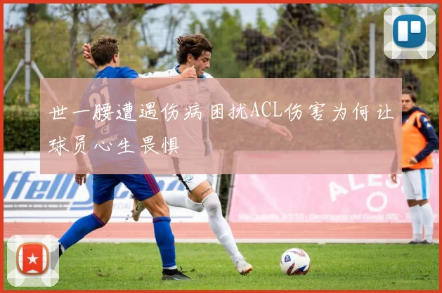 世一腰遭遇伤病困扰ACL伤害为何让球员心生畏惧