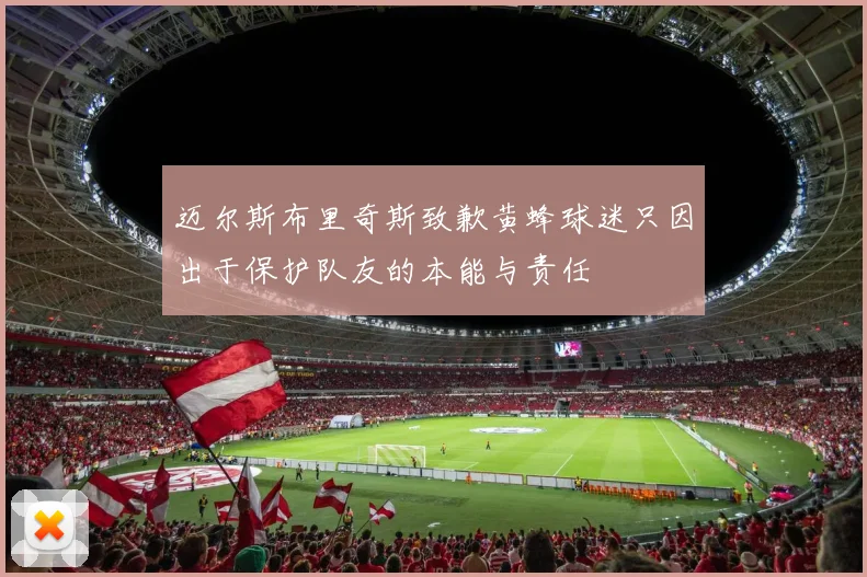 迈尔斯布里奇斯致歉黄蜂球迷只因出于保护队友的本能与责任