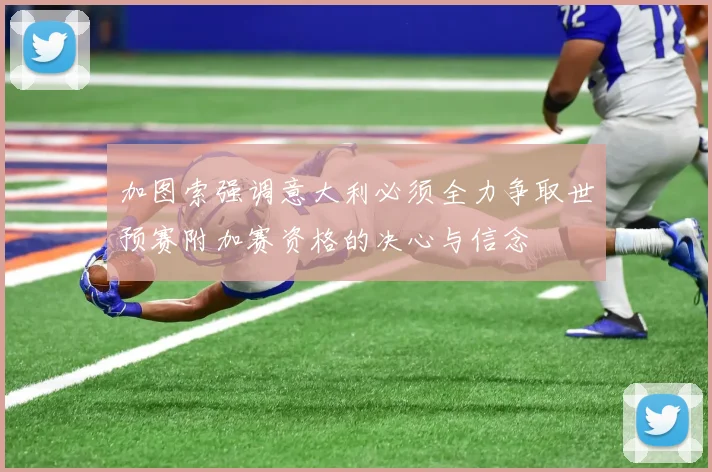 加图索强调意大利必须全力争取世预赛附加赛资格的决心与信念