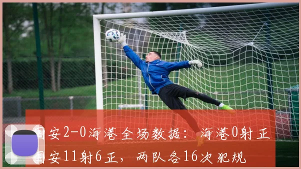 国安2-0海港全场数据：海港0射正国安11射6正，两队各16次犯规